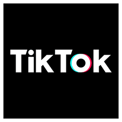 TokTok Logo